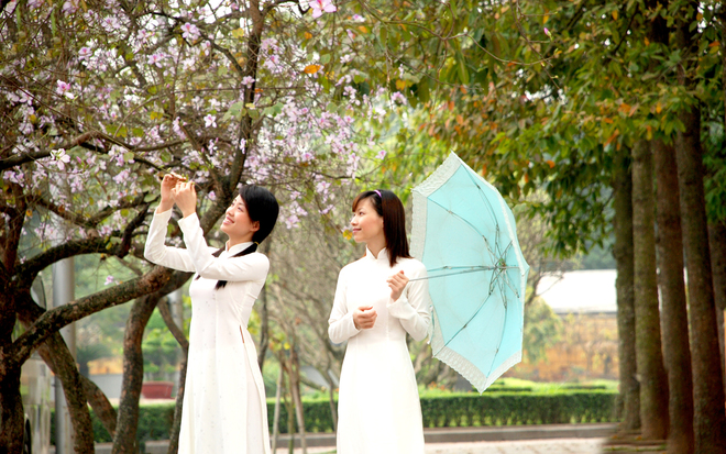 The beauty of romantic spring flowers in Hanoi
